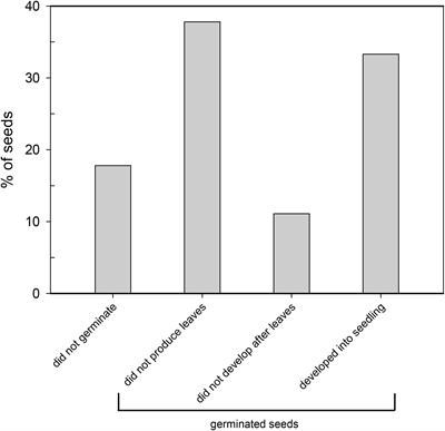 Light Is More Important Than Nutrient Ratios of Fertilization for Cymodocea nodosa Seedling Development